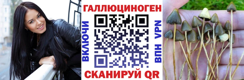 Галлюциногенные грибы Psilocybine cubensis  Борисоглебск 