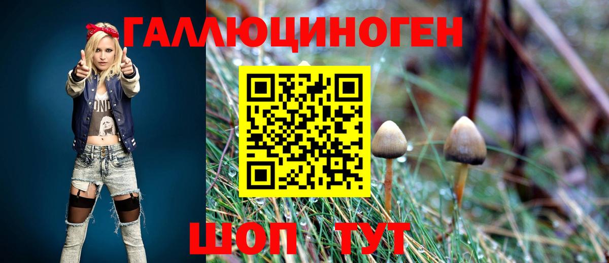 закладки  Псилоцибиновые грибы ЛСД  Вход с VPN  Борисоглебск 